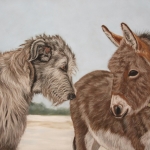 Ierse wolfshond en ezel Ierse wolfshond en ezel