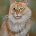 Main Coon tweeluik Main Coon tweeluik