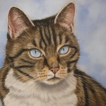 Cyperse kat Cyperse kat