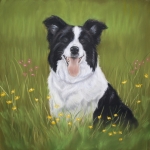 Border Collie in bloemen Border Collie in bloemen