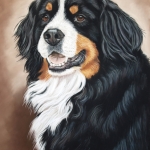 Berner Sennen Berner Sennen