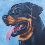 Rottweiler Rottweiler
