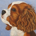 Cavalier King Charles Spaniel Cavalier King Charles Spaniel