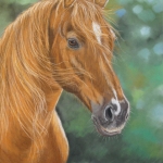 Paard 5 Paard 5