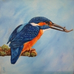 IJsvogel 10 IJsvogel 10