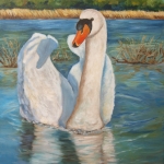 Zwaan Zwaan