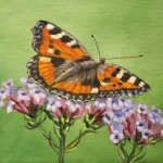 Vlinder op bloem 3 Vlinder op bloem 3