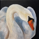 Zwaan 4 Zwaan 4