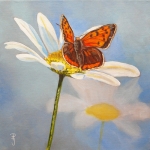 Vlinder op bloem 4 Vlinder op bloem 4