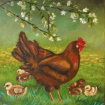 Kip met kuikens Kip met kuikens