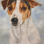 Jack Russel Jack Russel