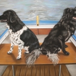 Friese stabij honden in boot Friese stabij honden in boot