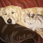 Golden retriever en Kat op bank Golden retriever en Kat op bank