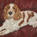 Cocker spaniel Cocker spaniel