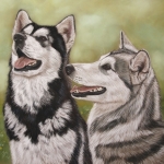 Malamutes Malamutes