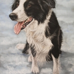 Border collie Border collie
