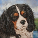 Cavalier king charles spaniel Cavalier king charles spaniel