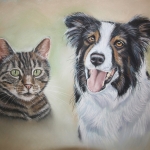 Cyperse kat en border collie Cyperse kat en border collie