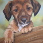 Puppy Puppy