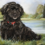 Havanezer pup Havanezer pup