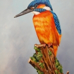 IJvogel op stam IJvogel op stam