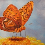 Vlinder op bloem 7 Vlinder op bloem 7