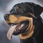 Rottweiler Rottweiler