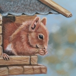 Eekhoorn in vogelhuisje Eekhoorn in vogelhuisje