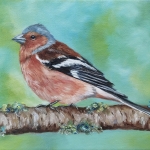Vink Vink