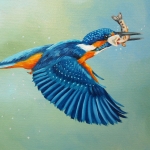 IJsvogel met visje IJsvogel met visje