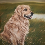 Golden Retriever Golden Retriever