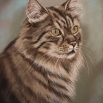 Maine Coon Maine Coon