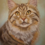 Kat Kat