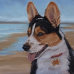 Welsh Corgi Pembroke Welsh Corgi Pembroke