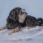 Boomer hond in sneeuw Boomer hond in sneeuw