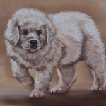 Tatra Pup Tatra Pup