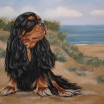 Cavalier King Charles Spaniel Cavalier King Charles Spaniel
