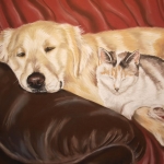 Golden Retriever en Kat Golden Retriever en Kat