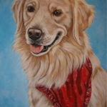 Golden Retriever Golden Retriever