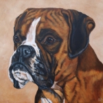 Boxer Boxer