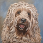 Blonde Bouvier Blonde Bouvier