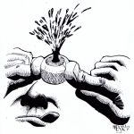 De Pupil De Pupil