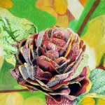 Zwarte Bloem Zwarte Bloem