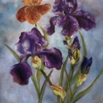 Irissen Irissen