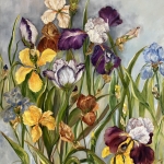 Irissen Irissen