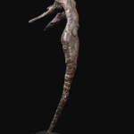 Icarus Icarus