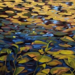 A Water-lily Field A Water-lily Field