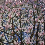 Magnolia Is Magic Magnolia Is Magic