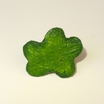 Fris groen bloemetje Fris groen bloemetje