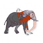 Houden van olifanten